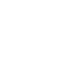 LI logo-white